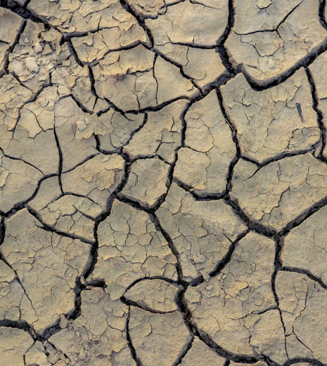 8 Environmental Impacts Of Fast Fashion