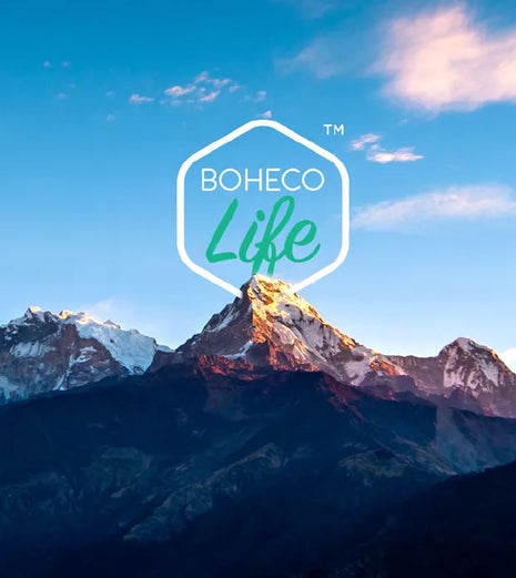 Revolutionize Your Diet Plans With These Nutritional Benefits Of Hemp!