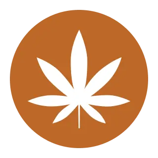 material_icon