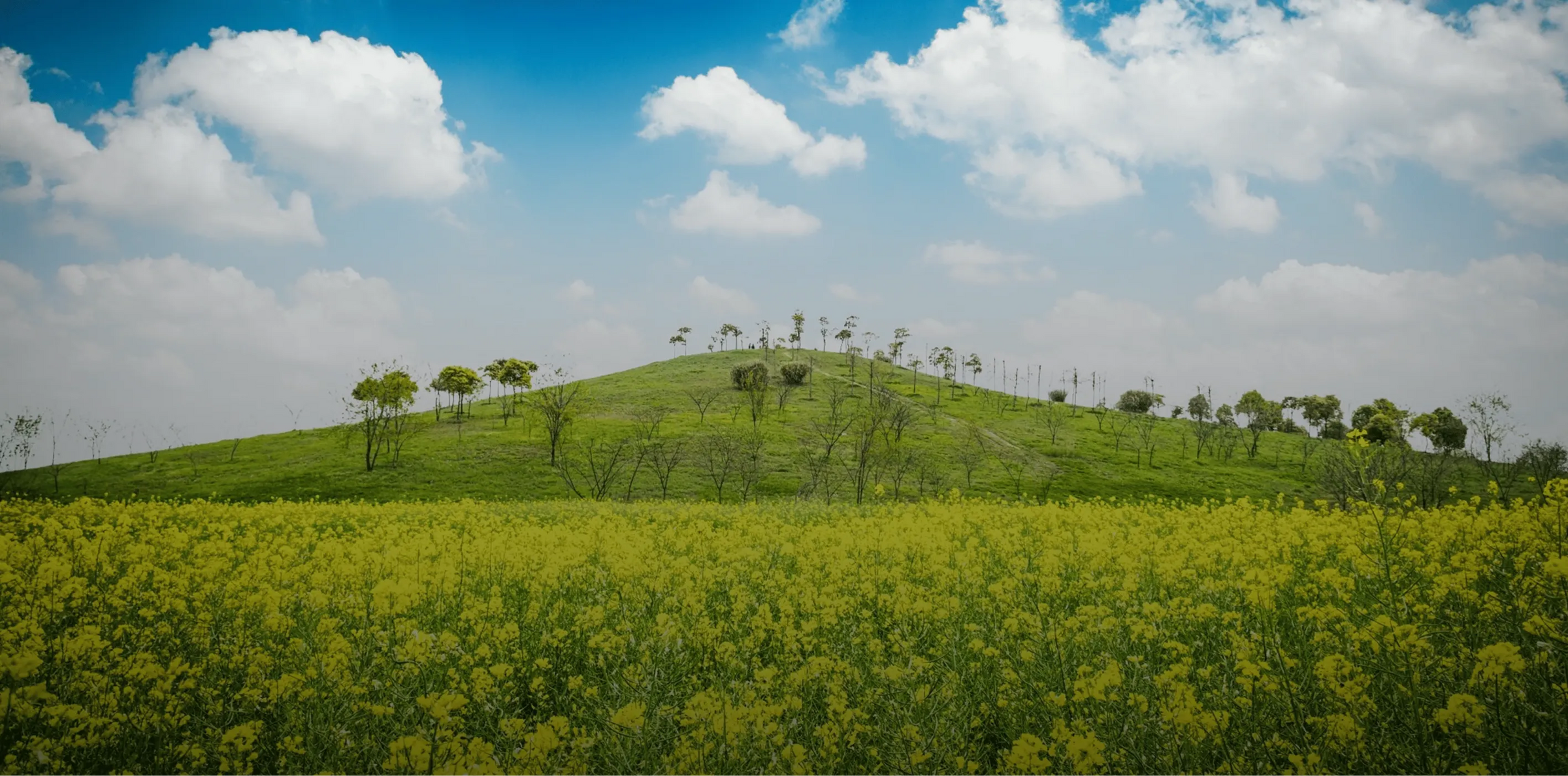 Sustainability